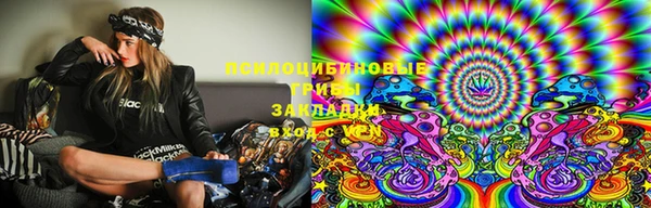 эйфоретик Богданович